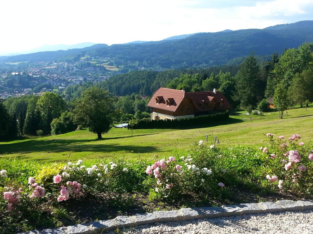 Ferienwohnung-Panoramablick-1 Bodenmais Bagian luar foto